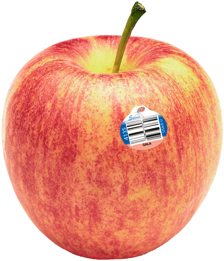 Rainier  gala apple, price per pound Full-Size Picture